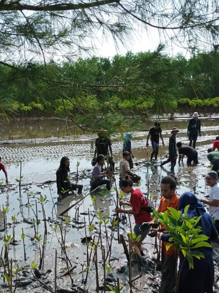 WALHI Yogyakarta Bersama Sejumlah Elemen Melakukan Penanaman Mangrove di Pantai Baros